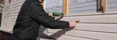 Best Vinyl Siding Installation  in Harbor Beach, MI